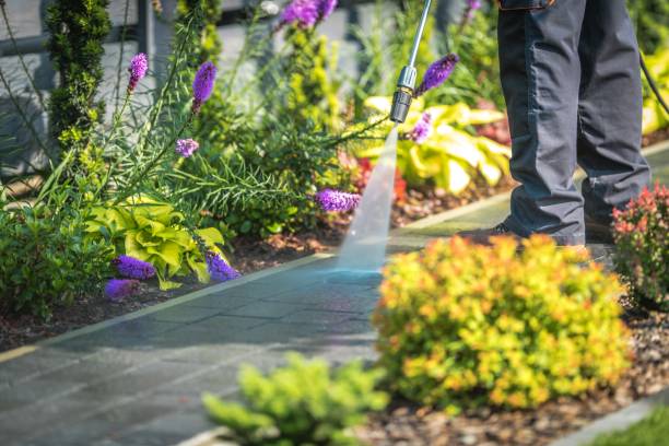  Edinboro, PA Pressure Washing Pros